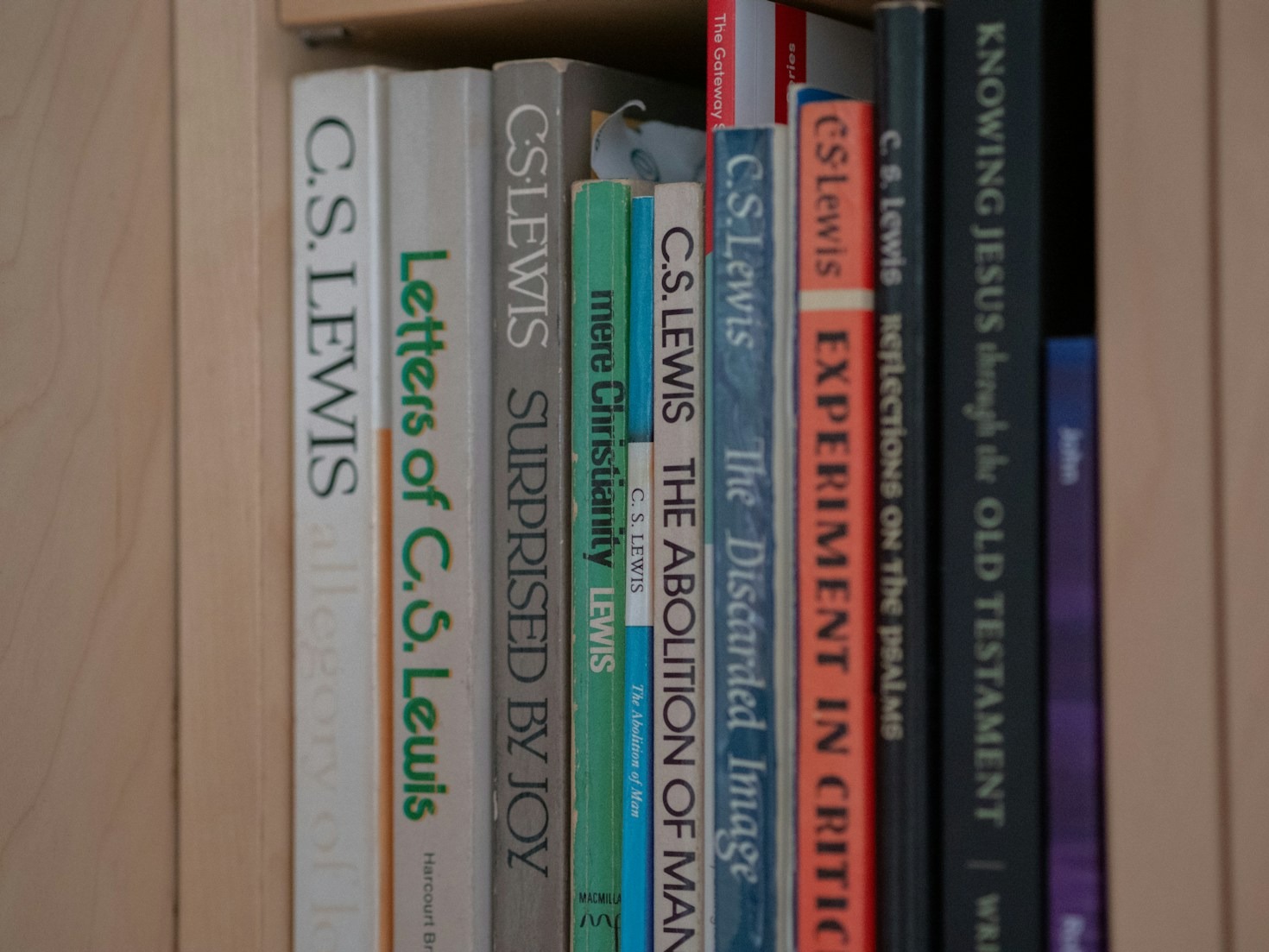 Insights from ‘Jápa: The Great British Migration Lottery’